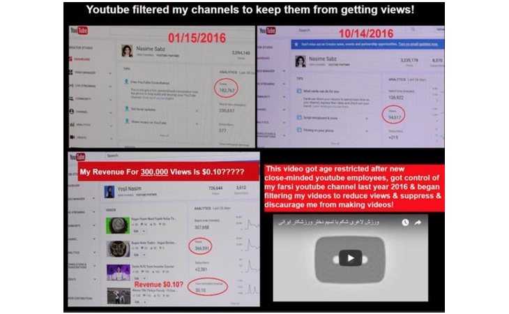 Muestra de cómo YouTube dismiuía las visitas del canal de Nasim