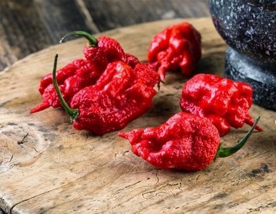 Hospitalizado con problemas cerebrales tras comer el segundo chili más picante del mundo