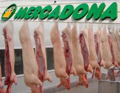 La principal carne de cerdo de Mercadona no cuenta con el certificado de bienestar animal