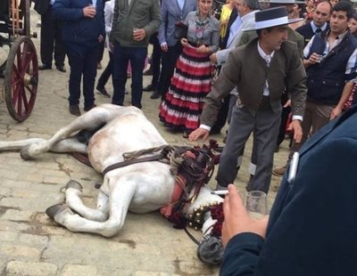 La Federación Andaluza de Defensa Animal denuncia el maltrato a caballos en la Feria de Abril