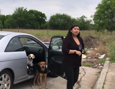 Una mujer abandona a sus cuatro perros mientras es advertida por otra que graba el momento