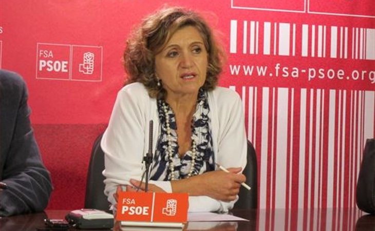 María Luisa Carcedo, responsable de sanidad del PSOE, ha sido la encargada de presentar la iniciativa