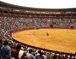 Crean un palco infantil para asistir a las corridas de toros de la feria de Córdoba