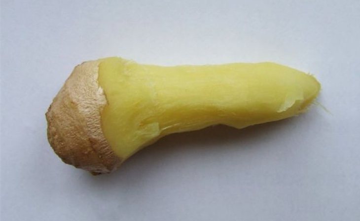 Jengibre pelado en forma de dildo
