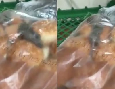 Encuentran ratas entre los panes de un Burger King de EEUU