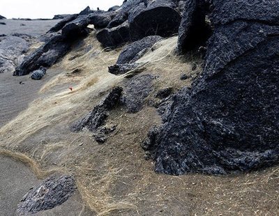 La 'melena' dorada que inunda Hawái y que puede terminar con tu vida