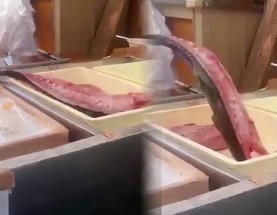 El vídeo de un filete de pescado brincando es real y esta es su explicación científica