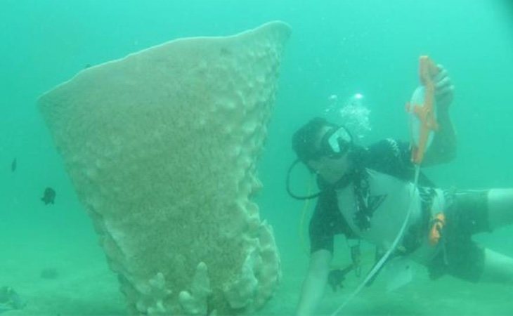 La Copa de Neptuno reaparece en Camboya tras más de un siglo de desaparición