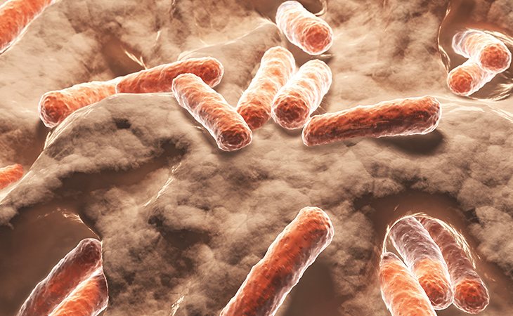 La bacteria comecarne una de las más peligrosas