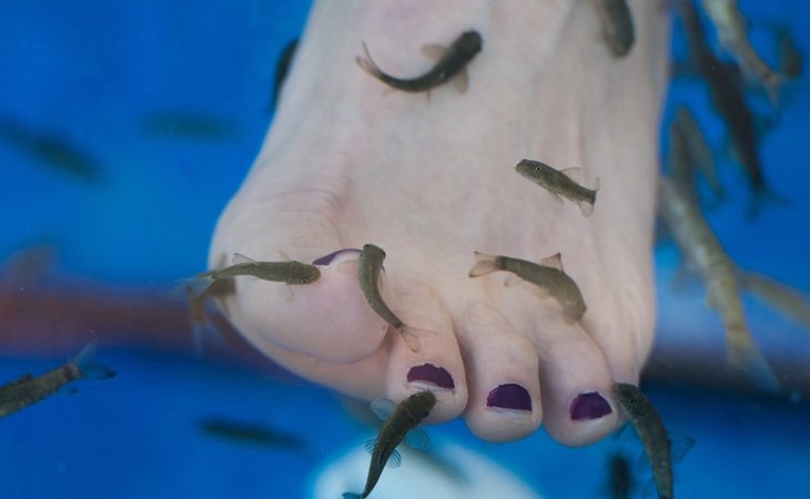 Los peces provocaron la caída de las uñas de la chica