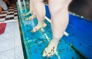 Una mujer se hace la pedicura con peces y pierde las uñas de sus pies