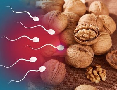 Comer nueces mejora la calidad del semen