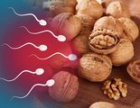 Comer nueces mejora la calidad del semen