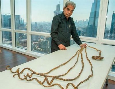 Shridhar Chillal, el hombre con las uñas más largas del mundo, se las corta tras 66 años