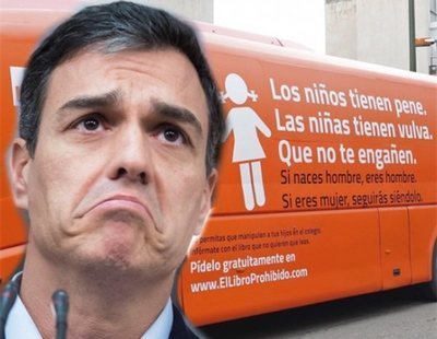 El Gobierno "no se ha planteado" retirar el título de "utilidad pública" a Hazte Oír