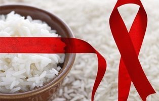 El arroz transgénico, clave para combatir el VIH