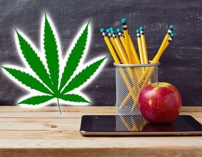 Varias escuelas de Florida (EEUU) ya permiten el uso de marihuana medicinal en sus aulas