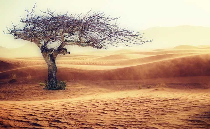 En 50 años algunas zonas de la Tierra serán incompatibles con la vida