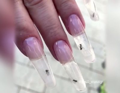 Uñas postizas con hormigas vivas dentro: la última moda que causa furor en Rusia