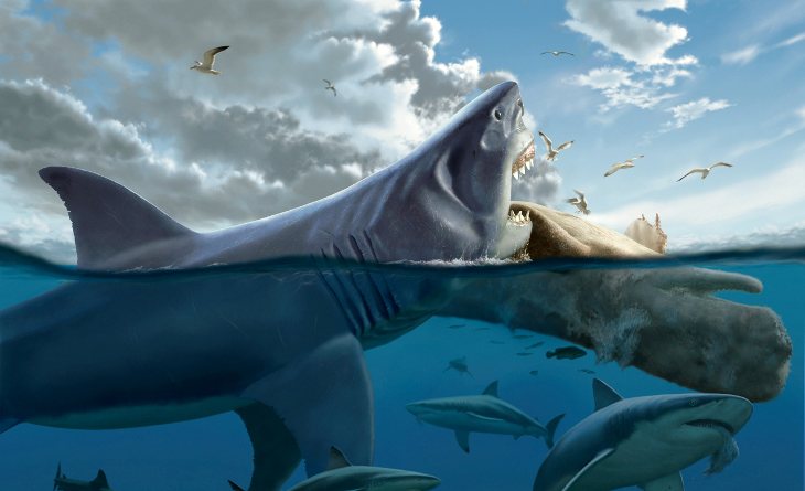 Megalodon