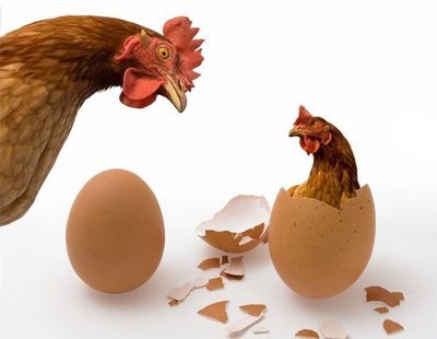 ¿Qué fue antes, el huevo o la gallina? La física cuántica responde