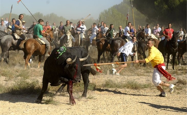 El toro es asediado por cientos de personas