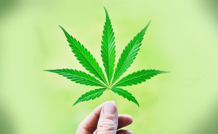 Canadá es la primera potencia mundial en legalizar la marihuana con fines no terapéuticos
