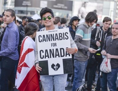 Canadá hace historia: el primer país industrializado que legaliza la marihuana