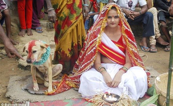 Dentro de las bodas con animales, los perros son más comunes