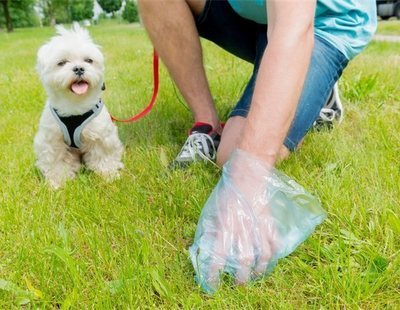 Inventan en China el carné por puntos para los dueños de perros