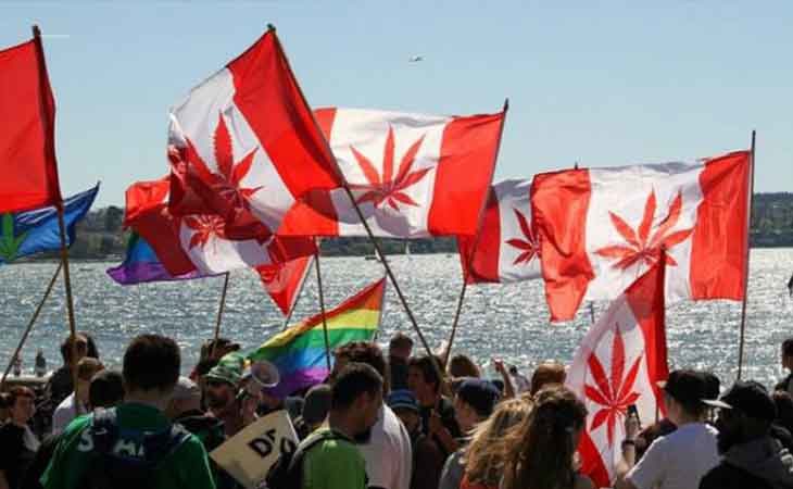 Canadienses celebrando la legalización del cannabis