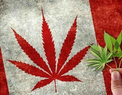 Crisis de la marihuana en Canadá: el país no da abasto