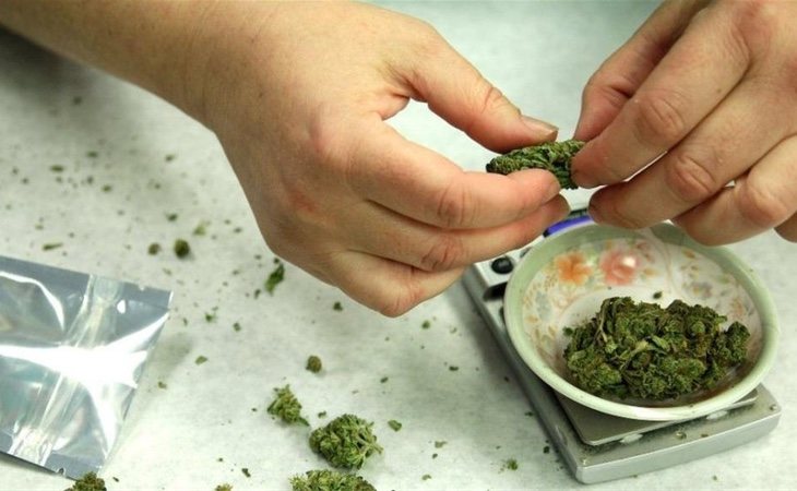 Los altos niveles de THC la vuelven más adictiva que la marihuana tradicional