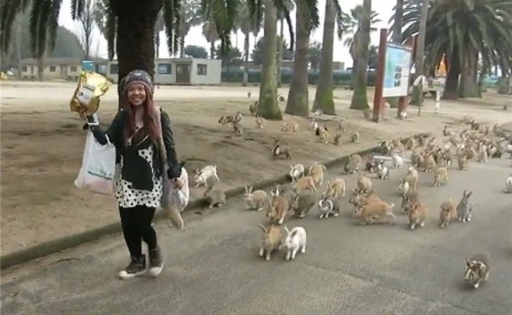 Perros y gatos están prohibidos para preservar el ecosistema de los conejos