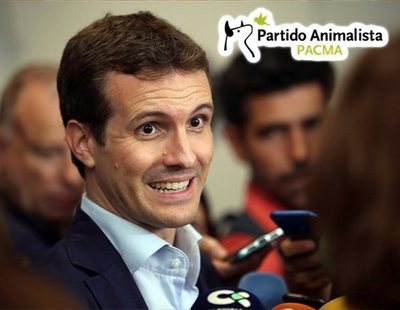 El Pacma adelanta al PP en Cataluña, según el CIS