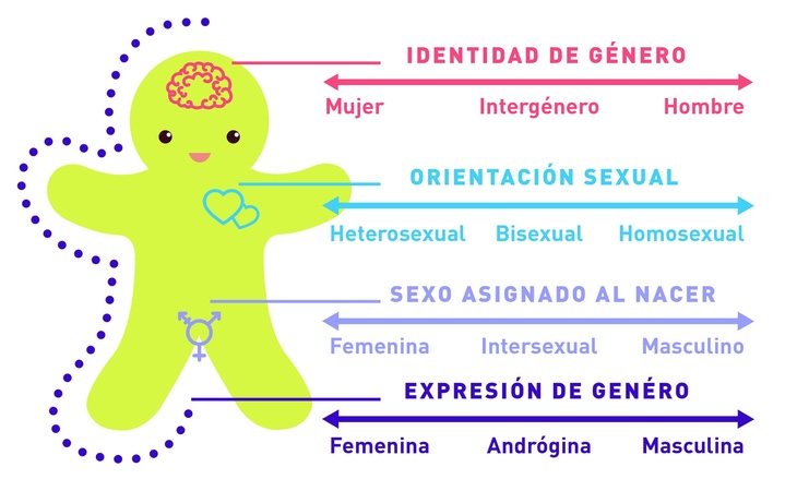 Una explicación gráfica