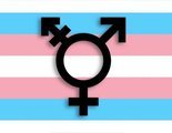 ¿Cuál es la diferencia entre transexual y transgénero?