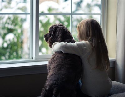 Detenida en Huelva por arrojar por la ventana a un perro al discutir con su ex pareja