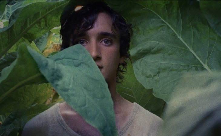 'Lazzaro feliz', de Alice Rohrwacher