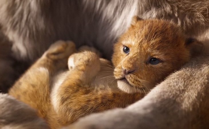 'El rey león', de Jon Favreau