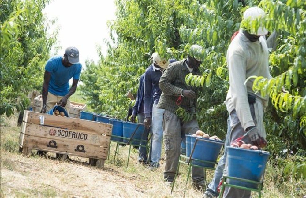 Los parados podrán trabajar mientras cobran el subsidio para garantizar el abastecimiento de alimentos