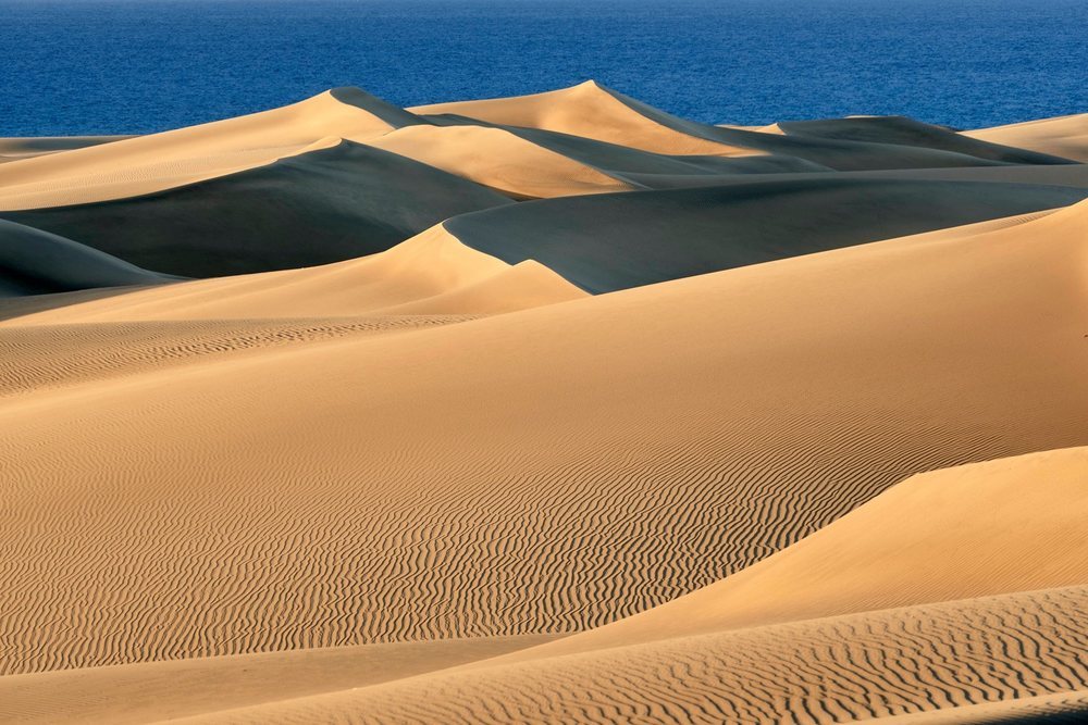 Las dunas han vuelto a su aspecto original | Masdunas