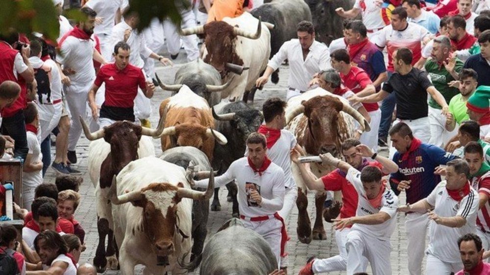 Pamplona suspende los Sanfermines