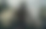 'El hombre del norte', de Robert Eggers, imagen de sustitución