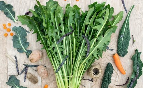 Las verduras de hoja verde tienen múltiples beneficios
