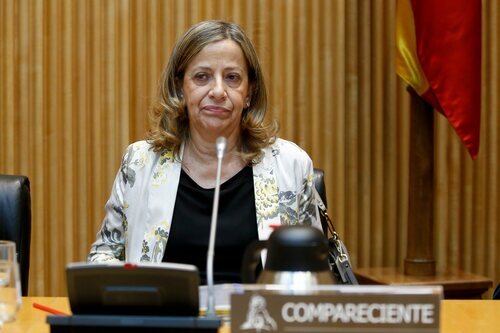 Carmen Navarro, directora general de finanzas