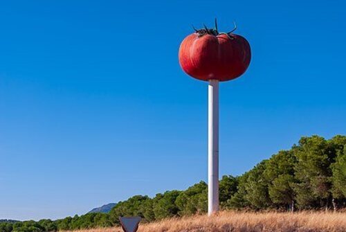 El tomate de miajadas