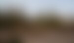 La ciudad de Chernóbyl en Ucrania tras un accidente nuclear, imagen de sustitución