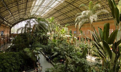 Jardín Tropical en la Estación de Atocha