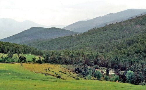 Sierra de Gredos (Ávila)